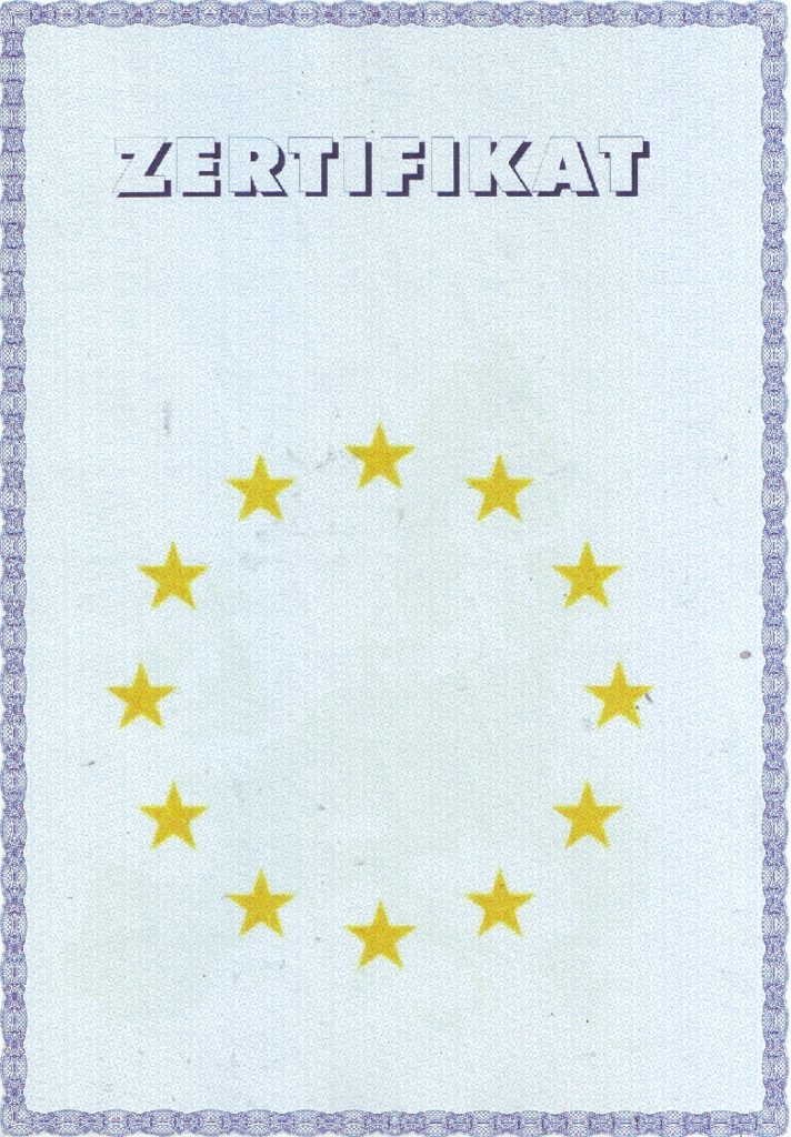 сертификат иностранных языков